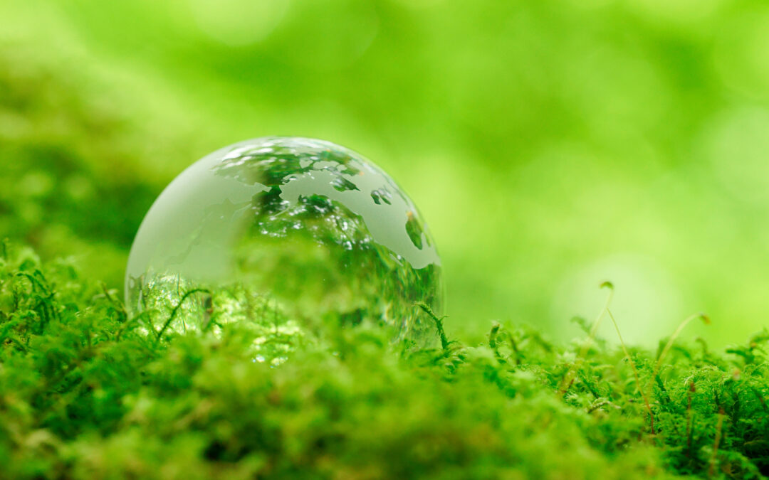 Sustainable Printing Practices That Benefit Your Business and the Planet